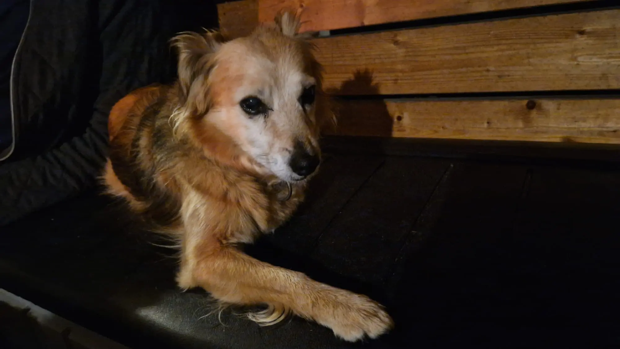 Massage Galerie Bild 6